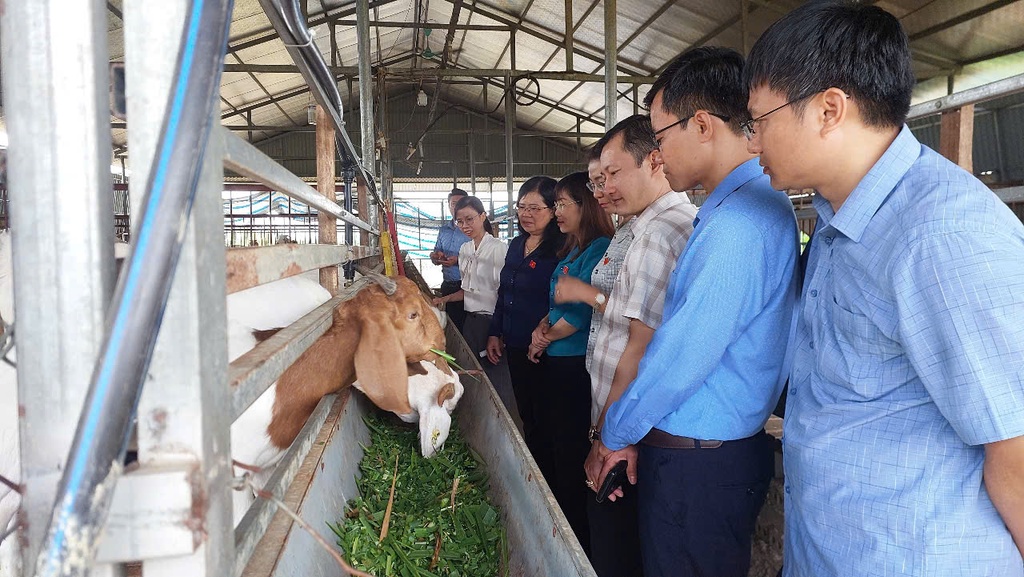 Bìa bài viết