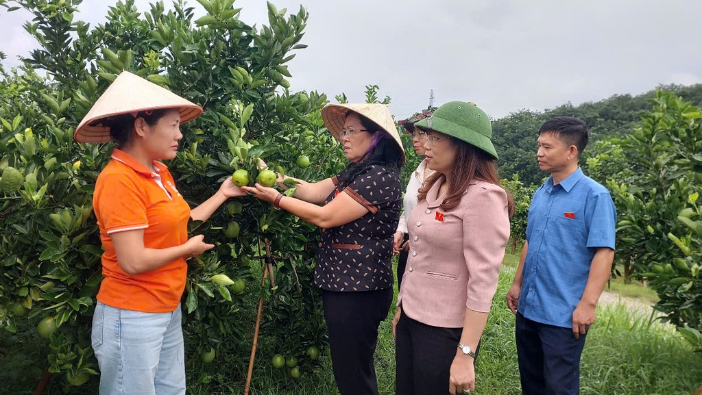Bìa bài viết